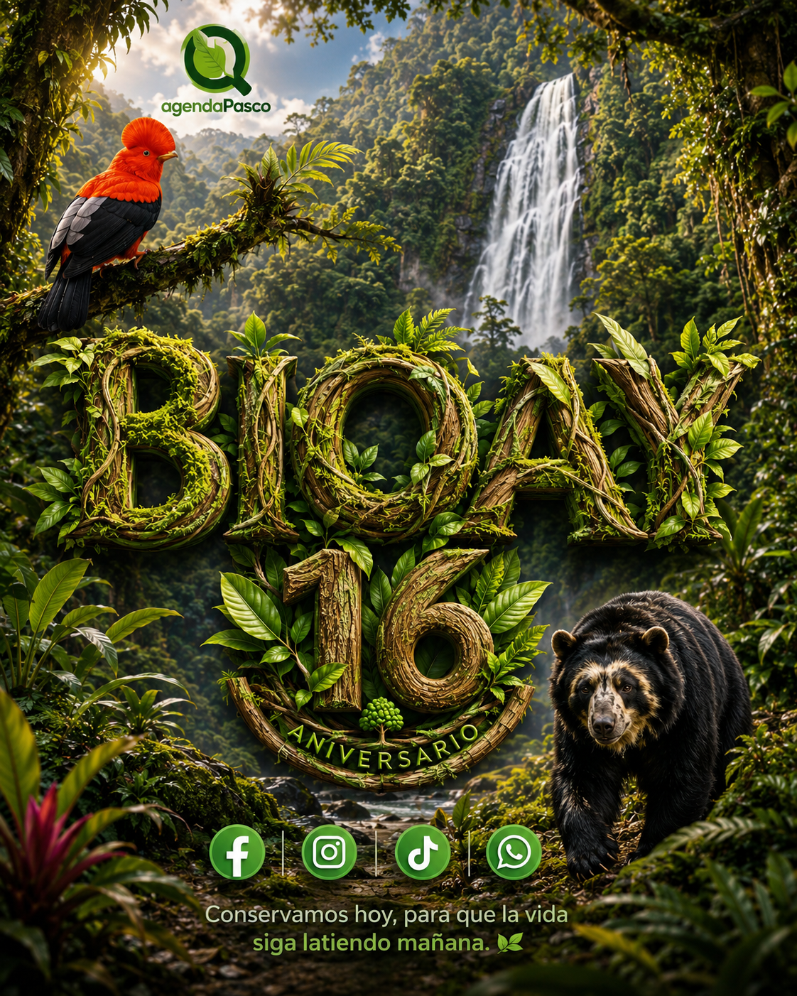BIOAY: 16 años conservando biodiversidad, cultura y desarrollo sostenible