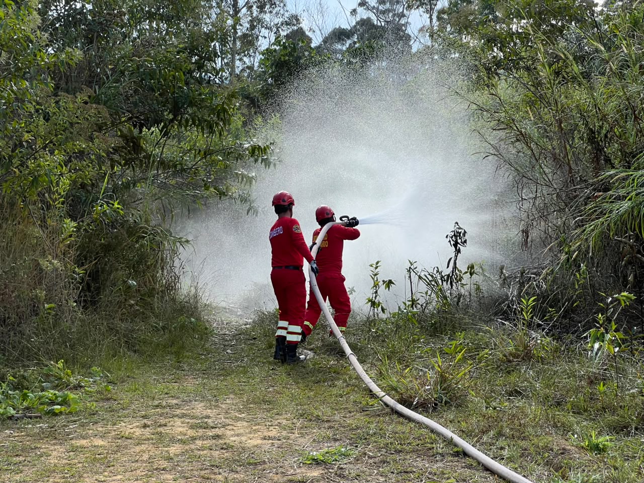 Pasco. Villa Rica incendio forestal extremo deja dos fallecidos y heridos